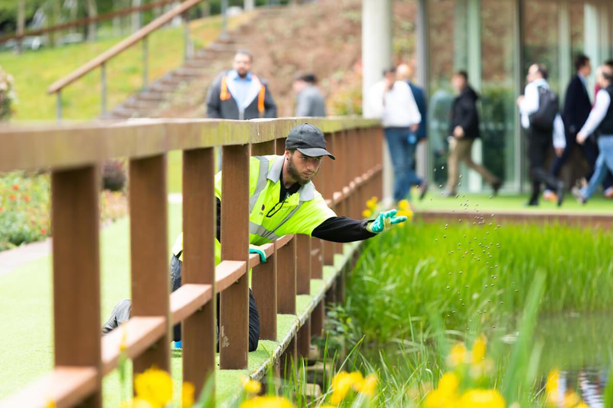 Mitie employee in high vis scattering wildflower seeds into a green area